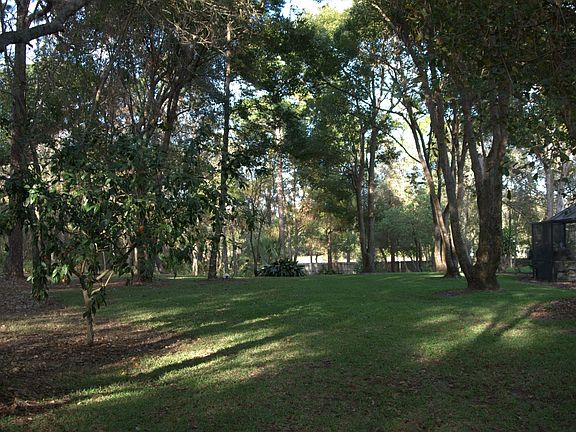 large, shady and private backyard