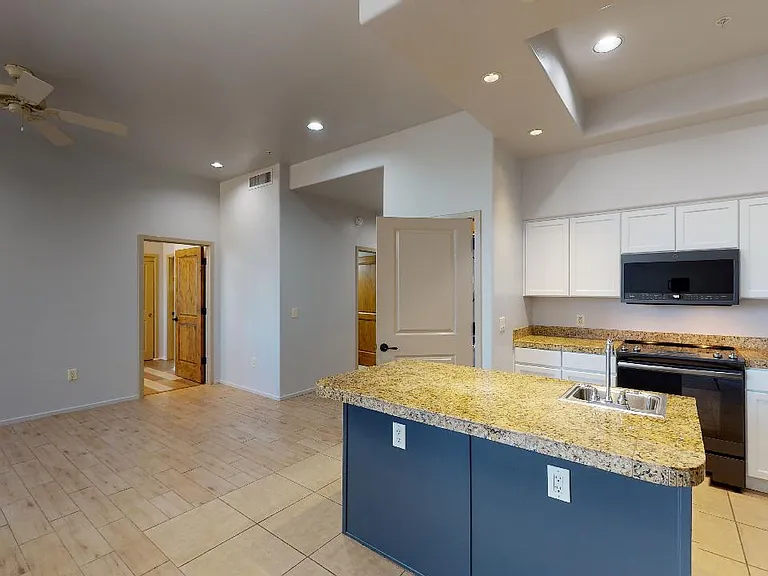 446 N Campbell Ave #1204 — Photo 10