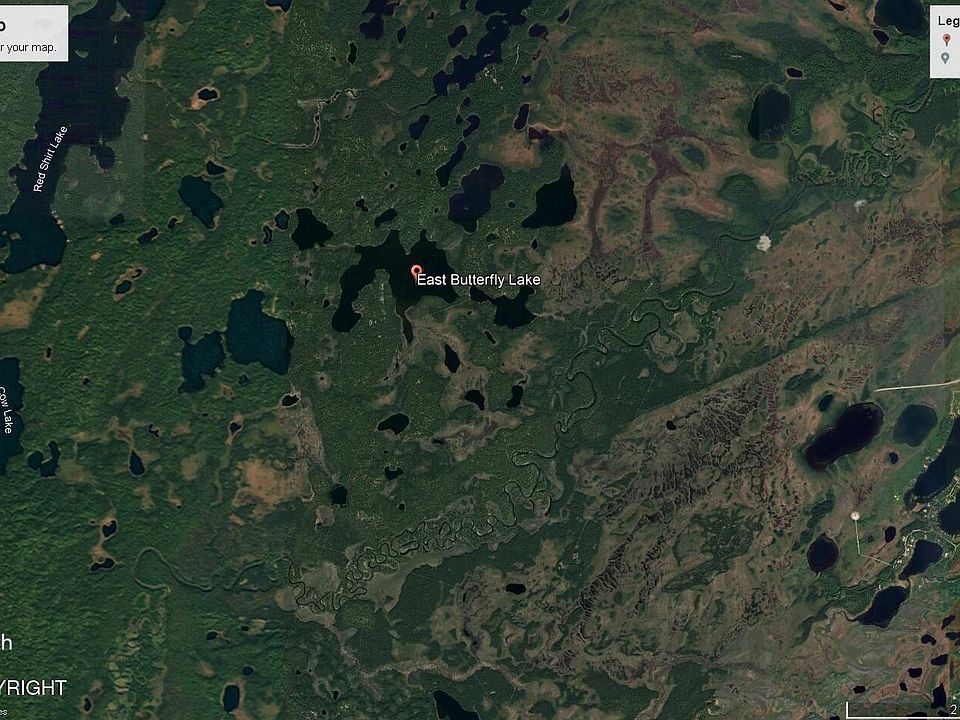 1st image of L8 B East Butterfly #3