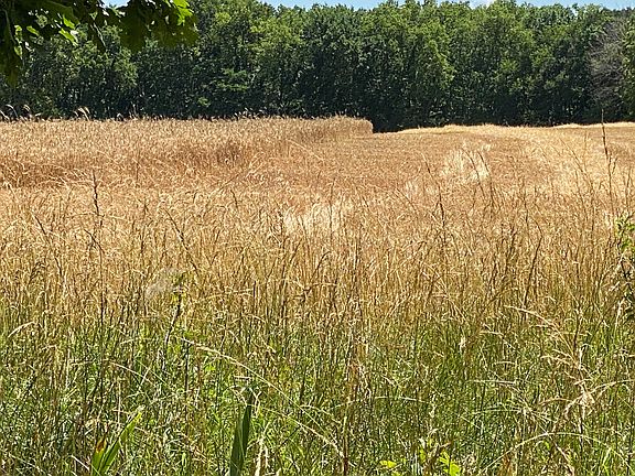 2nd image of 2550 Highway 7 Lot Wp001