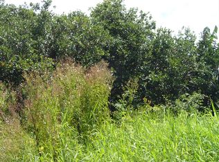 Kolika Rd LOT 248, Mountain View, HI 96771