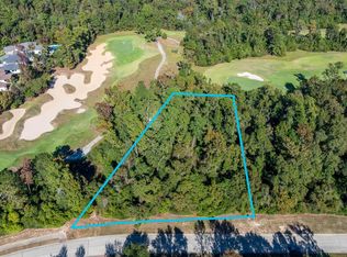 75 Mediterra Way LOT 23, Spring, TX 77389