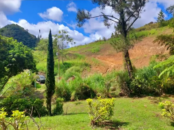 720 Palo Hincado, Barranquitas, PR 00794