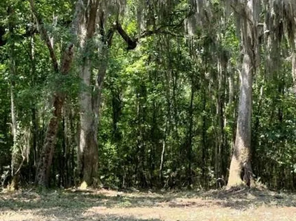 0 Briar Patch Pl NE Lot 28, Townsend, GA 31331