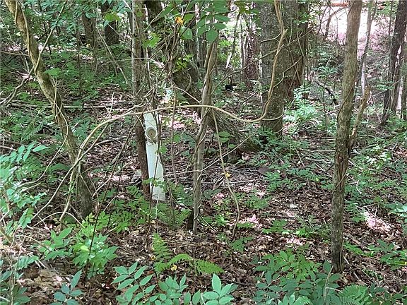 4th image of 0 S Twin Oaks Dr #11