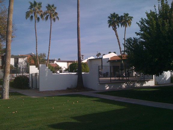 Back area view