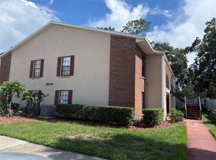 21038 VOYAGER BOULEVARD #4, LAND O LAKES, FL 34638