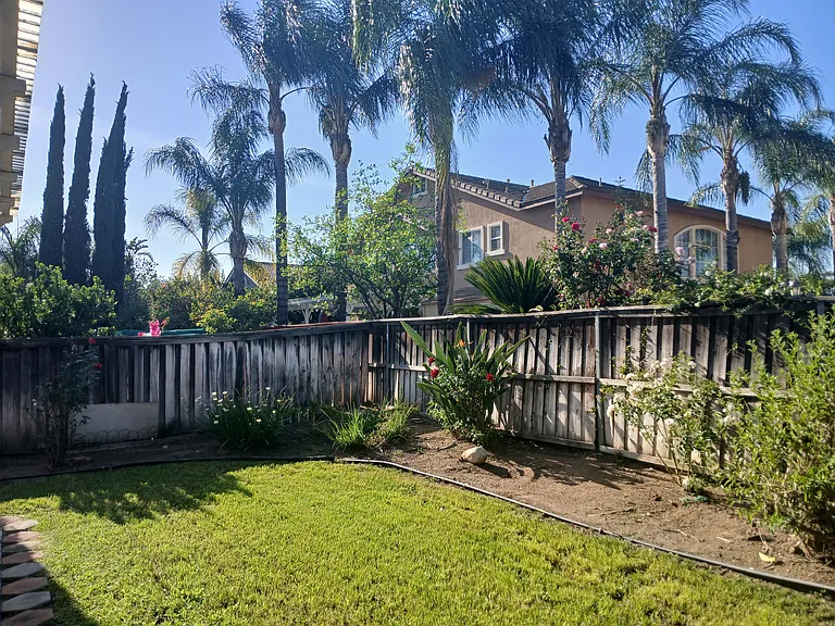 9394 Live Oak Dr — Photo 30