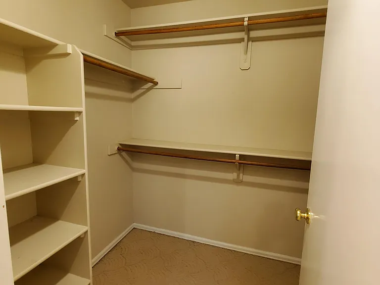 Walk-in Master Closet