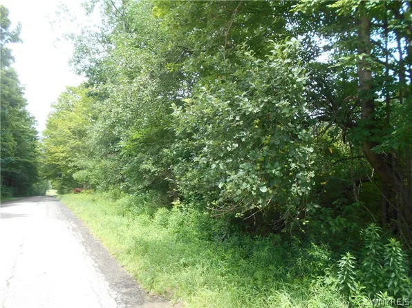 2511 Cutting Rd #6, Delevan, NY 14042