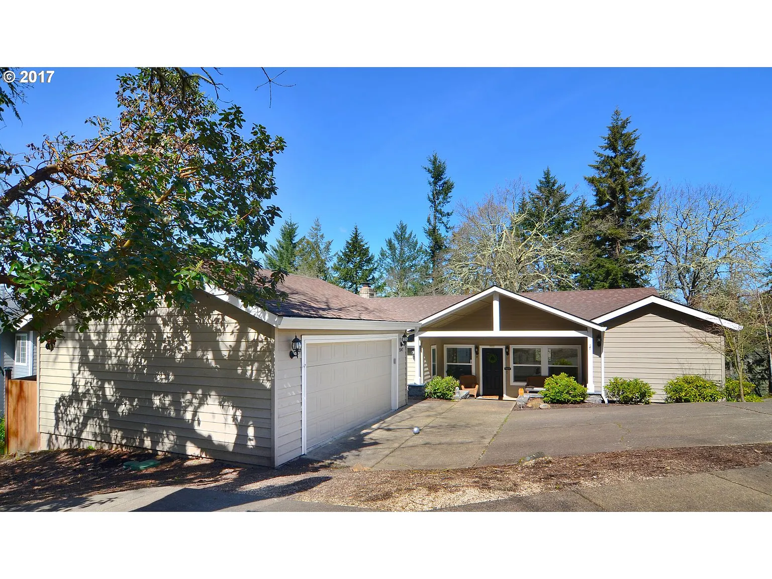 3347 Videra Dr photo 1