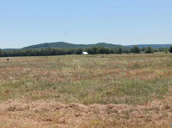 2 Summerford Orr Rd, Falkville, AL 35622