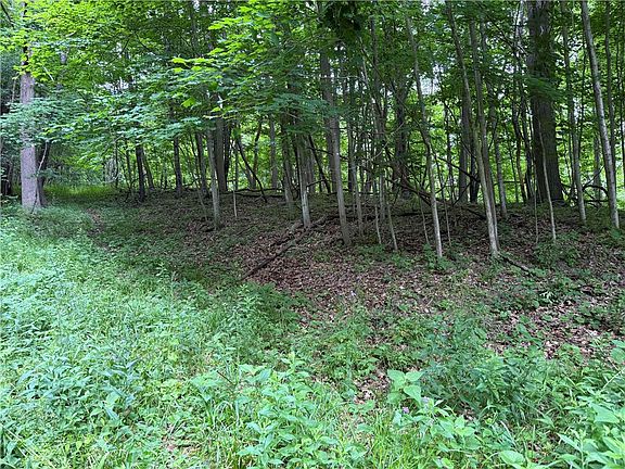 4th image of 1592 Emerson Rd