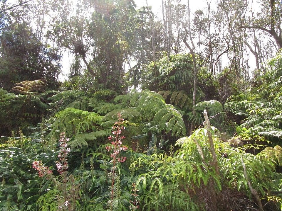 2nd image of Nahelenani St Lot 53-B