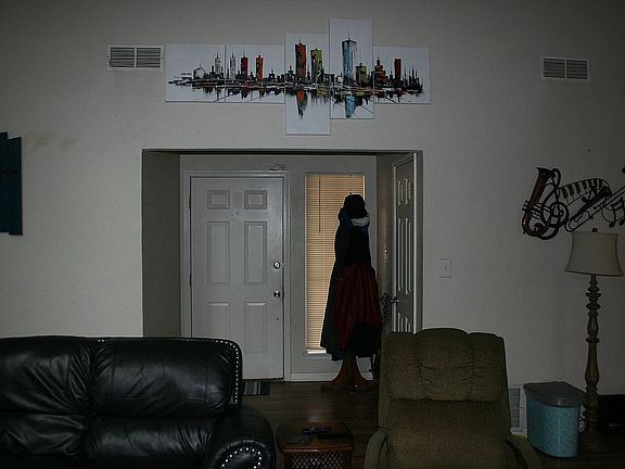Living Room/Entry Way