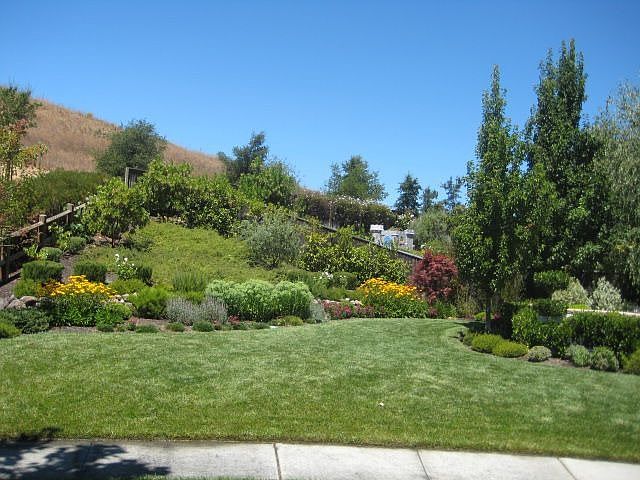 Front Yard