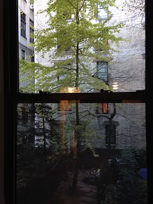 Rented by AJ Clarke | media 17