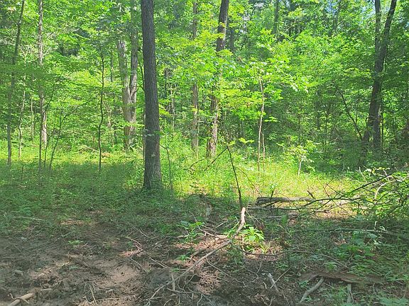 4th image of 2500 S Coalmine Rd Lot 2