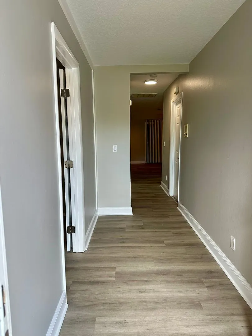 Tampa Rental! — Photo 2