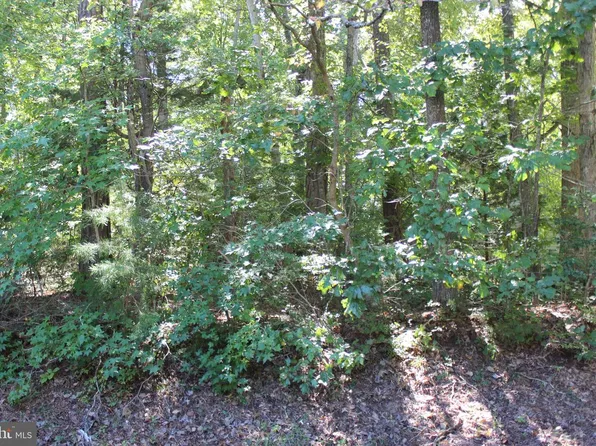2041 Neptune Ct, Greenbackville, VA 23356