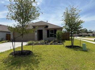 18634 Gravago Ln, New Caney, TX 77357