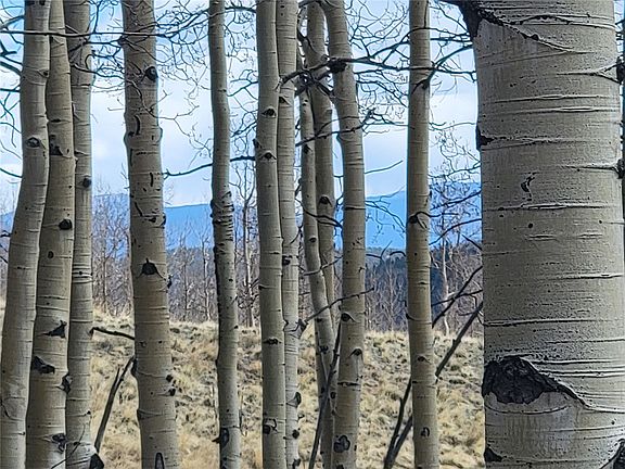 2nd image of 918 Little Baldy Circle