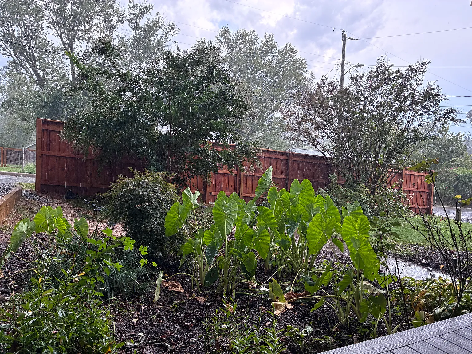 707 Brookshire St — Photo 2