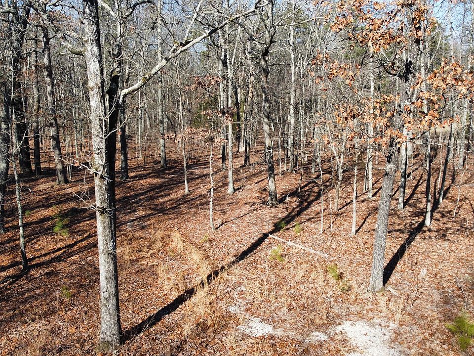 1st image of 15603 County Road 19-440