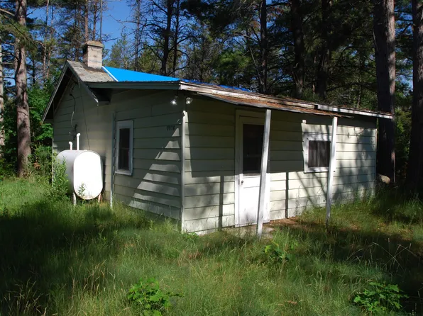 7876 Curley Rd, South Branch, MI 48761