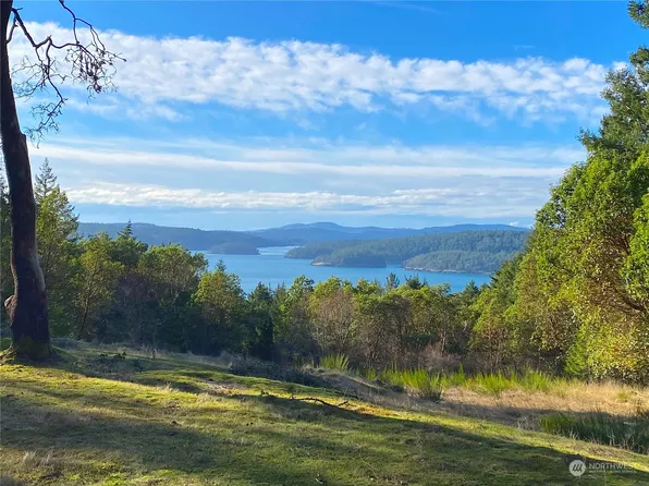 65 Crane Lane, Orcas Island, WA 98245