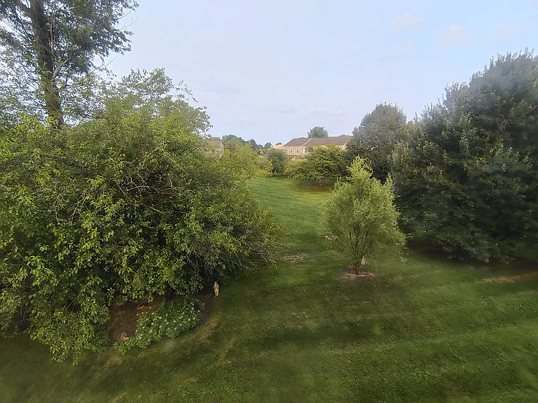 View from Master Bedroom