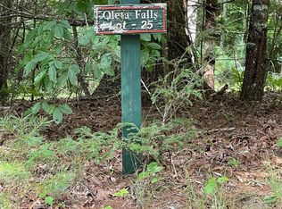25 Oleta Mill Trl, Hendersonville, NC 28792