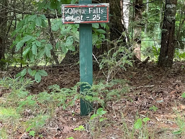 25 Oleta Mill Trl, Hendersonville, NC 28792