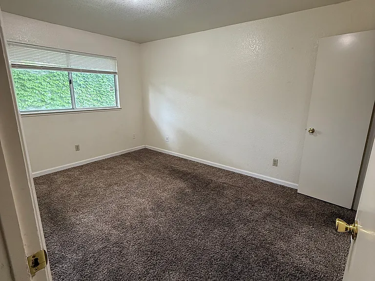 1241 Shasta Ave — Photo 7