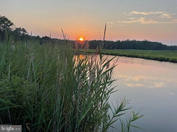 20833 Nanticoke Rd, Bivalve, MD 21814