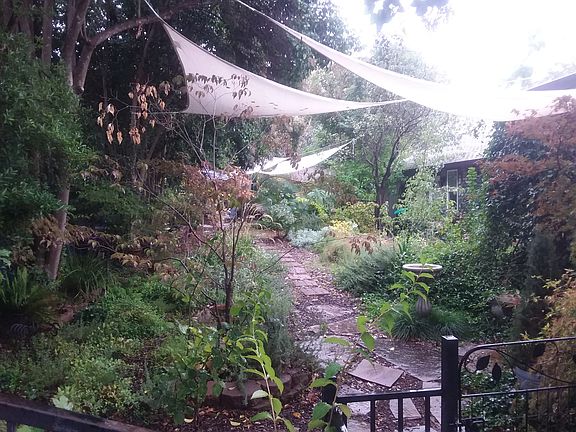 Landscaped front yard