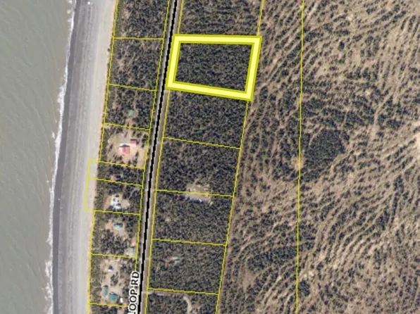 L1-B3 S Cohoe Loop Rd, Kasilof, AK 99610