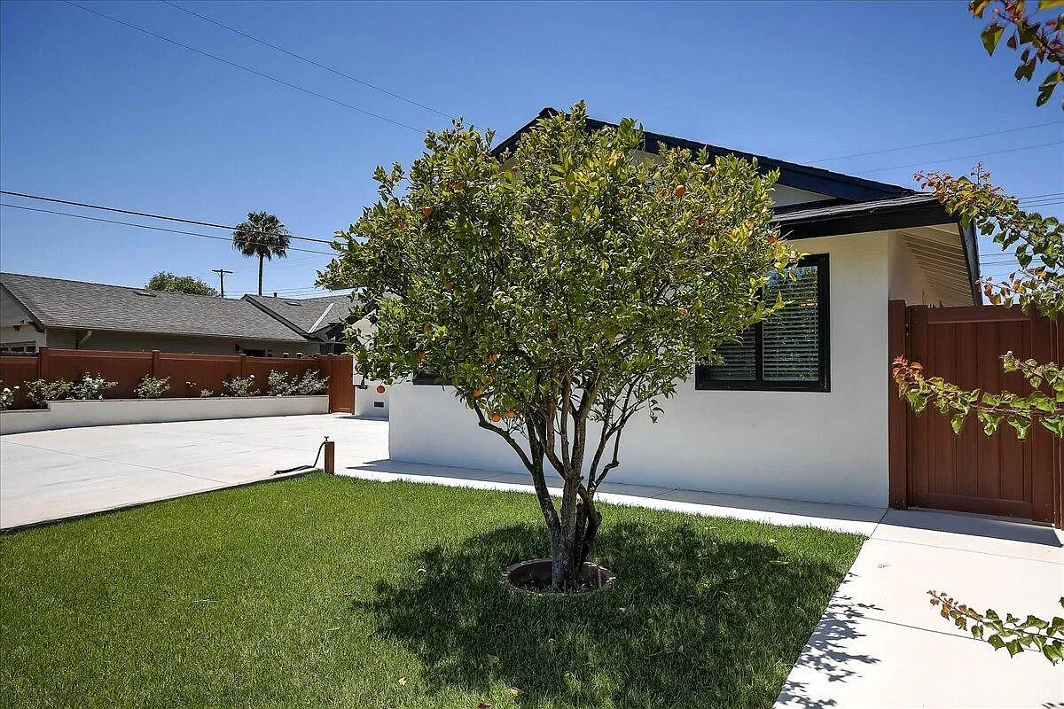 3 bed, 2.0 bath, 1064 sqft, $5,500 — Photo 4