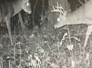 271 Bluebird Ln, Hyden, KY 41749