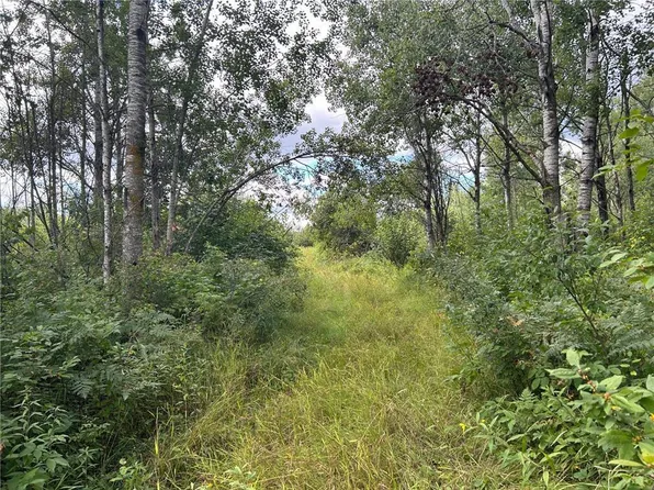 Tbd2 Duncan Rd, Sandstone, MN 55072