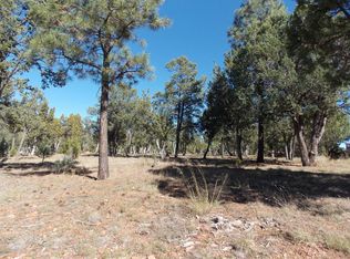 2356 Immelman Cir, Overgaard, AZ 85933