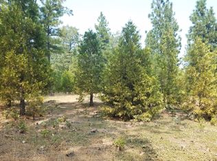 Donkey Mine Rd, Oak Run, CA 96069