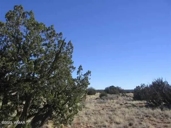 Sec 5 T14n R16e Cres Lot 16B, Heber, AZ 85928