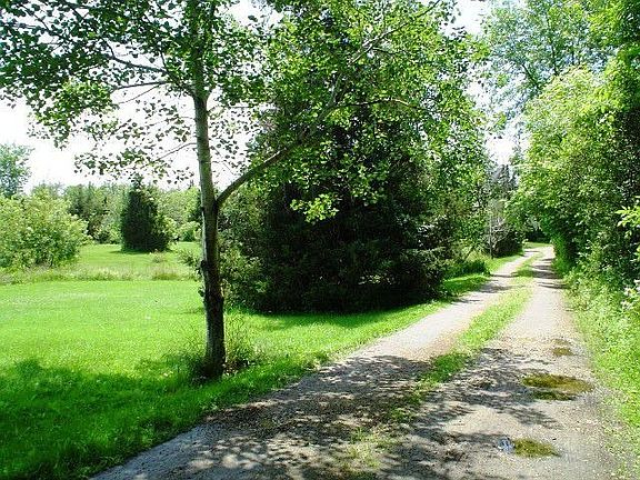 scenic driveway