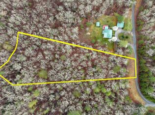 11 Pine Ln, Mineral Bluff, GA 30559