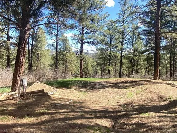 116 Nutria Cir, Pagosa Springs, CO 81147