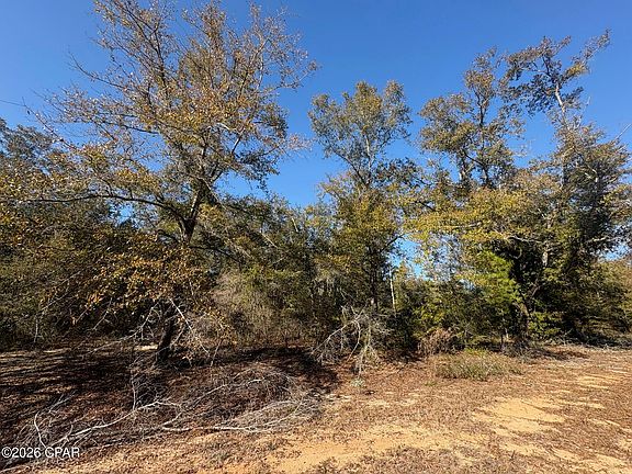5th image of LOT 55 Owl Ct