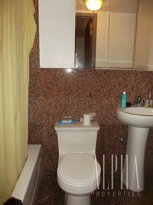 Rented by Alpha Properties NYC I LLC | media 46