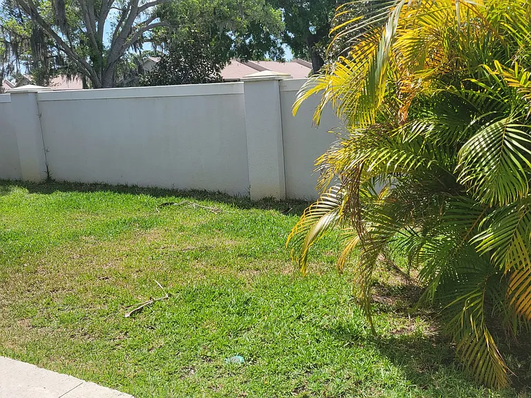 5534 Spanish Moss Cv — Photo 12