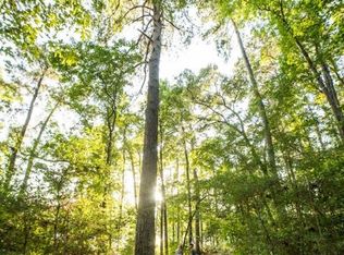 LOT 44 Brahman Ln, New Waverly, TX 77358